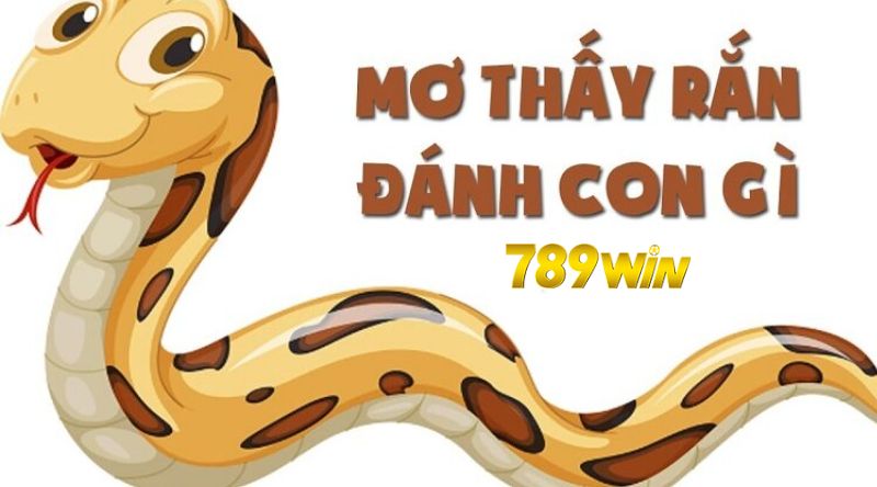 Tổng hợp những trường hợp nằm mơ thấy rắn tại 789WIN